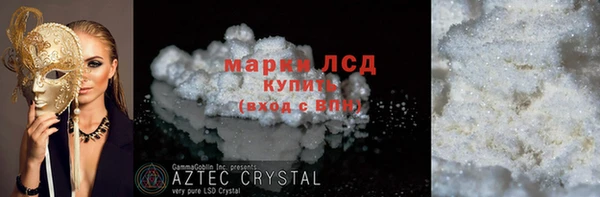 индика Краснотурьинск