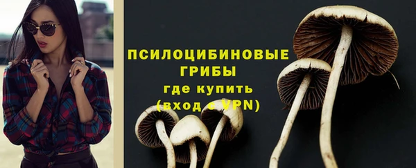тгк Коряжма