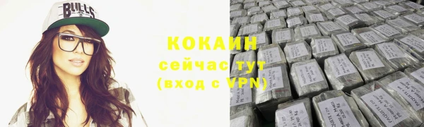 индика Краснотурьинск