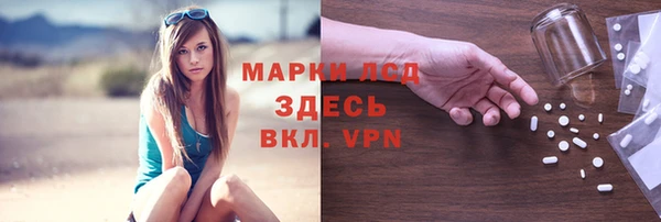 индика Краснотурьинск