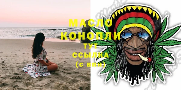 индика Краснотурьинск