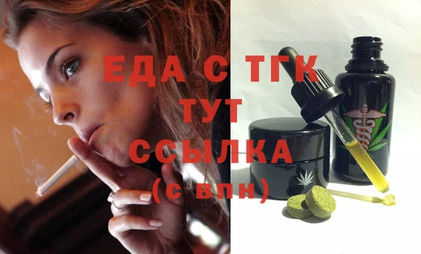 индика Краснотурьинск